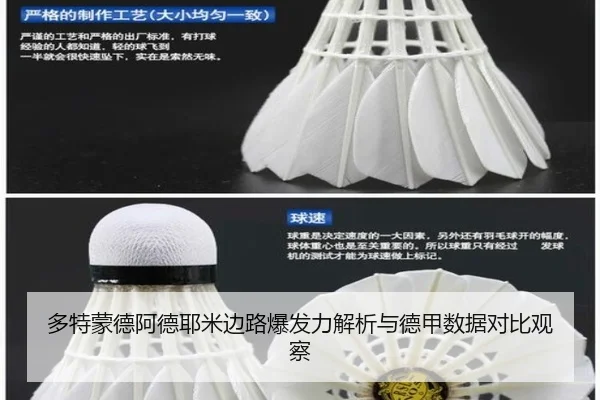 多特蒙德阿德耶米边路爆发力解析与德甲数据对比观察